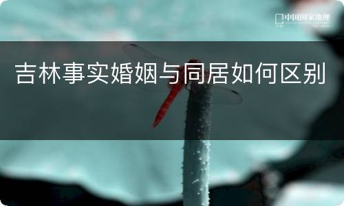 吉林事实婚姻与同居如何区别