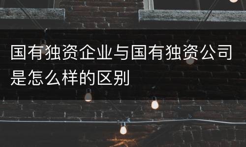 国有独资企业与国有独资公司是怎么样的区别