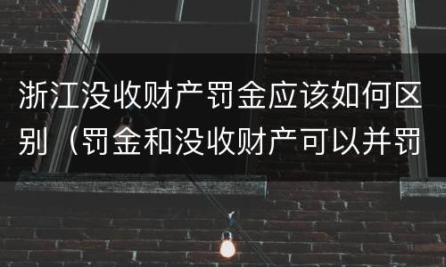 浙江没收财产罚金应该如何区别（罚金和没收财产可以并罚吗）