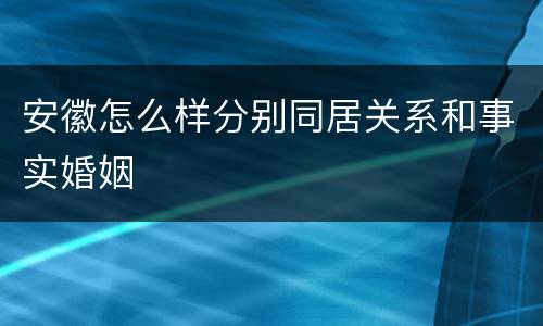 安徽怎么样分别同居关系和事实婚姻