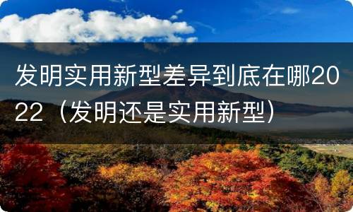 发明实用新型差异到底在哪2022（发明还是实用新型）