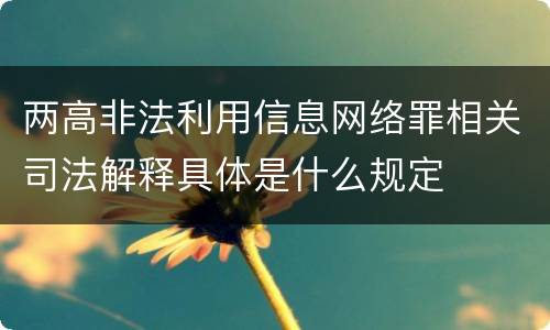 两高非法利用信息网络罪相关司法解释具体是什么规定
