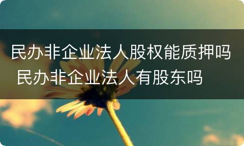 民办非企业法人股权能质押吗 民办非企业法人有股东吗