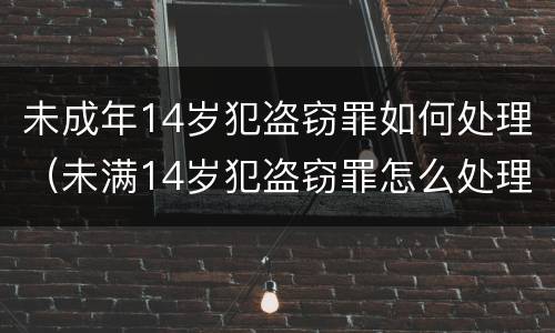 未成年14岁犯盗窃罪如何处理（未满14岁犯盗窃罪怎么处理）