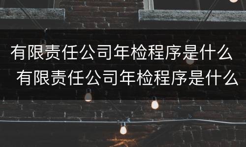 有限责任公司年检程序是什么 有限责任公司年检程序是什么