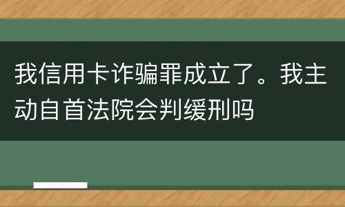 我信用卡诈骗罪成立了。我主动自首法院会判缓刑吗