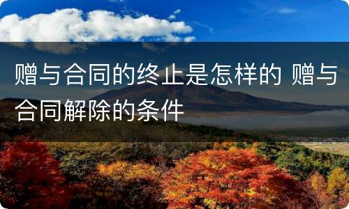 赠与合同的终止是怎样的 赠与合同解除的条件