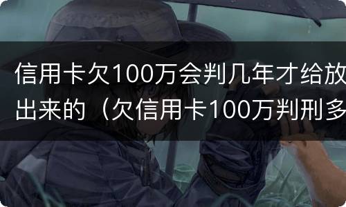 信用卡欠100万会判几年才给放出来的(欠信用卡100万判刑多少年)