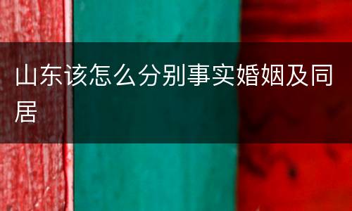山东该怎么分别事实婚姻及同居