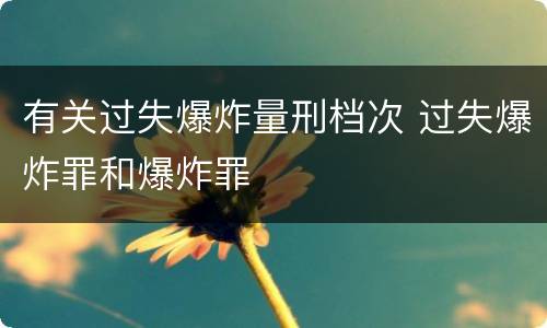 有关过失爆炸量刑档次 过失爆炸罪和爆炸罪