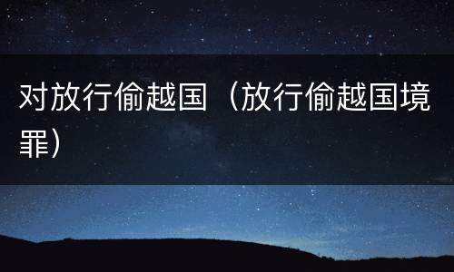 对放行偷越国（放行偷越国境罪）