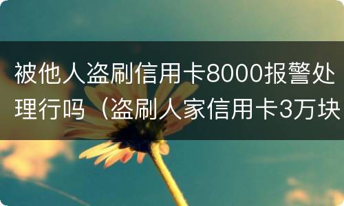 被他人盗刷信用卡8000报警处理行吗（盗刷人家信用卡3万块钱人家报警会怎么样）