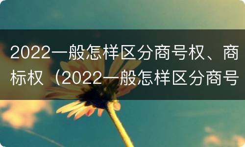 2022一般怎样区分商号权、商标权（2022一般怎样区分商号权,商标权和商品权）