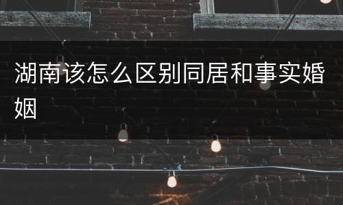湖南该怎么区别同居和事实婚姻