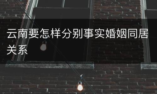 云南要怎样分别事实婚姻同居关系