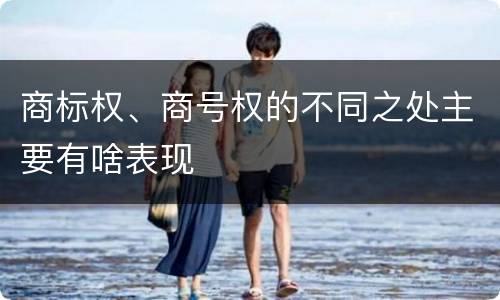 商标权、商号权的不同之处主要有啥表现