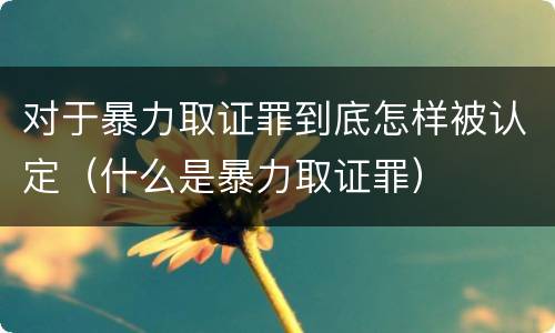 对于暴力取证罪到底怎样被认定（什么是暴力取证罪）