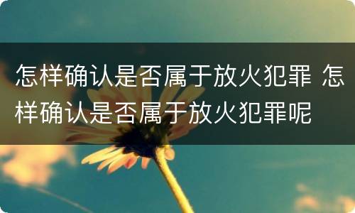 怎样确认是否属于放火犯罪 怎样确认是否属于放火犯罪呢