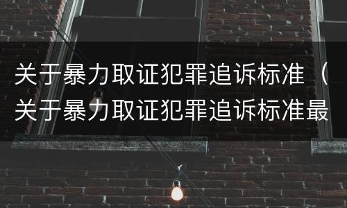 关于暴力取证犯罪追诉标准（关于暴力取证犯罪追诉标准最新）