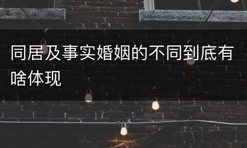 同居及事实婚姻的不同到底有啥体现