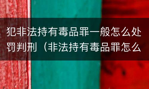 犯非法持有毒品罪一般怎么处罚判刑（非法持有毒品罪怎么量刑）