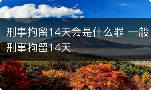 刑事拘留14天会是什么罪 一般刑事拘留14天