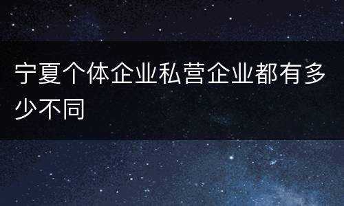 宁夏个体企业私营企业都有多少不同