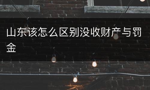 山东该怎么区别没收财产与罚金