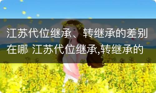 江苏代位继承、转继承的差别在哪 江苏代位继承,转继承的差别在哪查