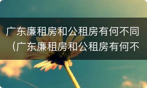 广东廉租房和公租房有何不同（广东廉租房和公租房有何不同之处）