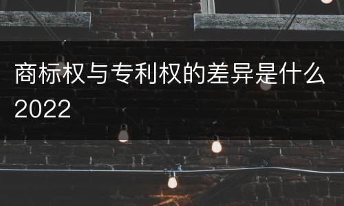 商标权与专利权的差异是什么2022