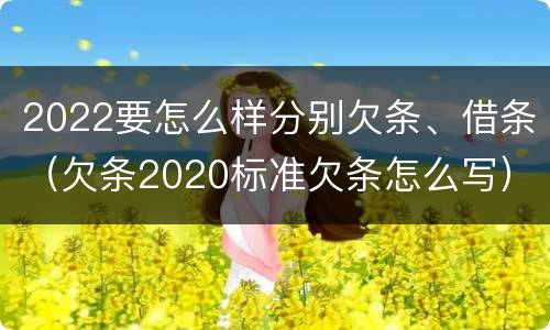 2022要怎么样分别欠条、借条（欠条2020标准欠条怎么写）