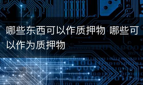 哪些东西可以作质押物 哪些可以作为质押物