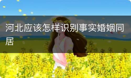 河北应该怎样识别事实婚姻同居