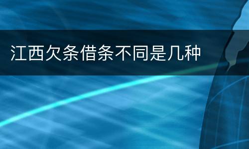 江西欠条借条不同是几种