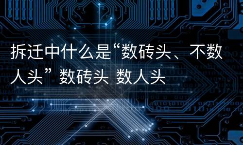 拆迁中什么是“数砖头、不数人头” 数砖头 数人头
