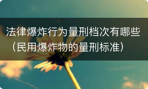 法律爆炸行为量刑档次有哪些（民用爆炸物的量刑标准）