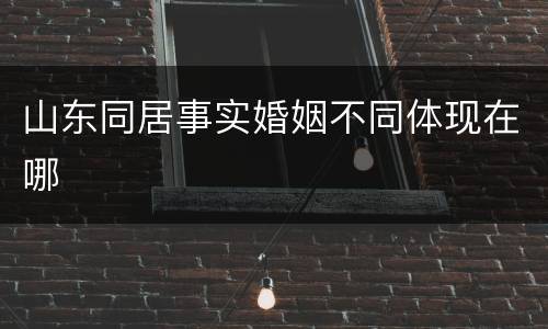 山东同居事实婚姻不同体现在哪