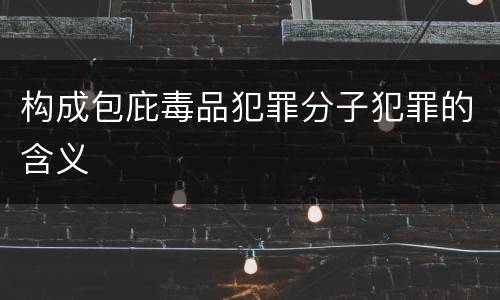 构成包庇毒品犯罪分子犯罪的含义