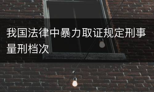 我国法律中暴力取证规定刑事量刑档次