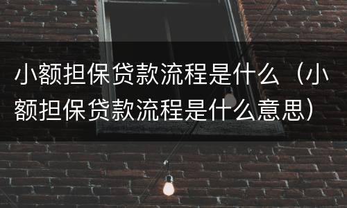 小额担保贷款流程是什么（小额担保贷款流程是什么意思）