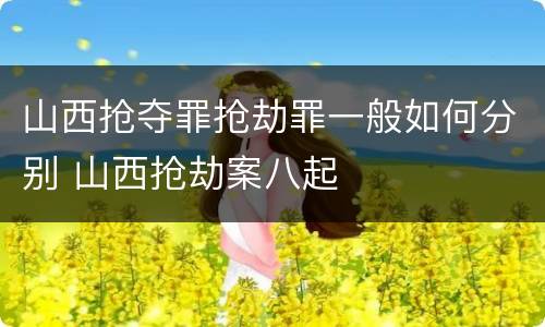 山西抢夺罪抢劫罪一般如何分别 山西抢劫案八起