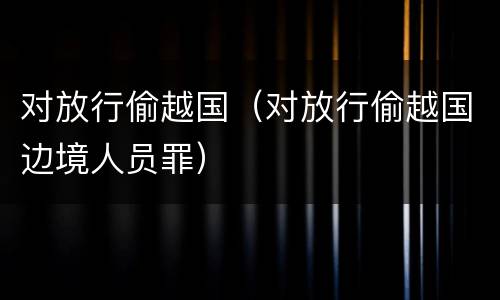 对放行偷越国（对放行偷越国边境人员罪）