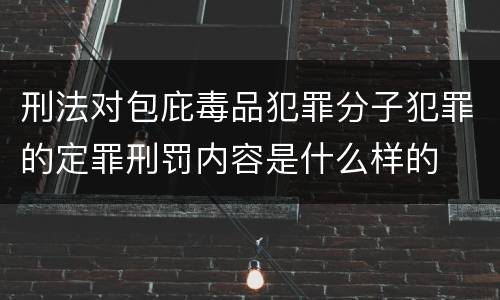 刑法对包庇毒品犯罪分子犯罪的定罪刑罚内容是什么样的
