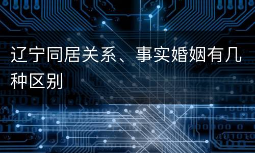 辽宁同居关系、事实婚姻有几种区别