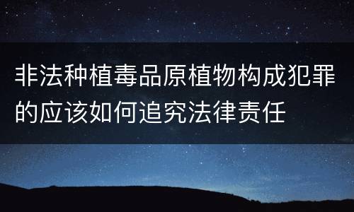 非法种植毒品原植物构成犯罪的应该如何追究法律责任