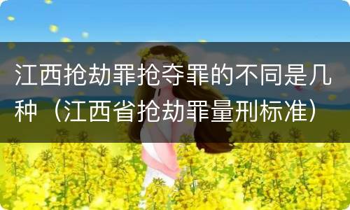 江西抢劫罪抢夺罪的不同是几种（江西省抢劫罪量刑标准）