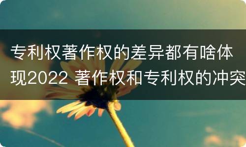 专利权著作权的差异都有啥体现2022 著作权和专利权的冲突