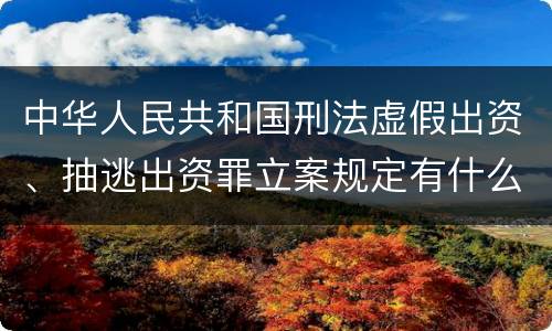 中华人民共和国刑法虚假出资、抽逃出资罪立案规定有什么？