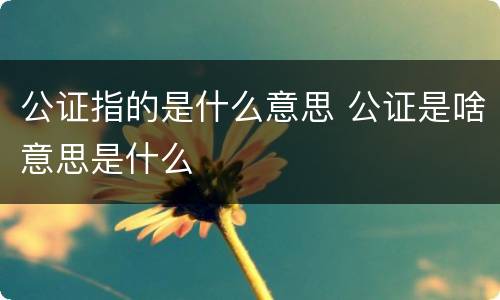 公证指的是什么意思 公证是啥意思是什么